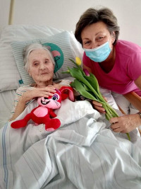 tulipány pro radost