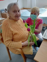 tulipány pro radost