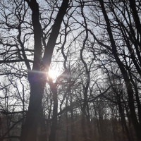 Foto pro radost od Evy