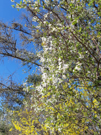 Foto pro radost od Evy