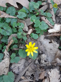 Foto pro radost od Evy