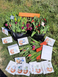 Další radost pro seniory!