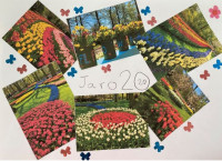 Zuzka (ZŠ Magic Hill - 3. B)