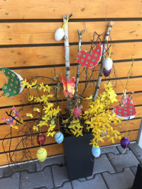 Foto pro radost od Moniky