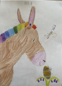 Pozdrav od Niky (ZŠ Magic Hill - 3. B)