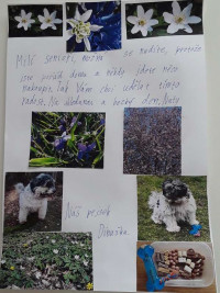 Naty (ZŠ Magic Hill - 3. A)