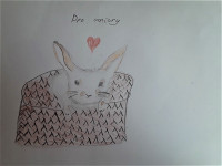 Verča (ZŠ Magic Hill - 3. A)