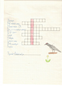 Páťa G., 4. B Magic Hill