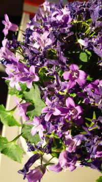 Foto pro radost od Evy