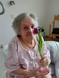 tulipány pro radost